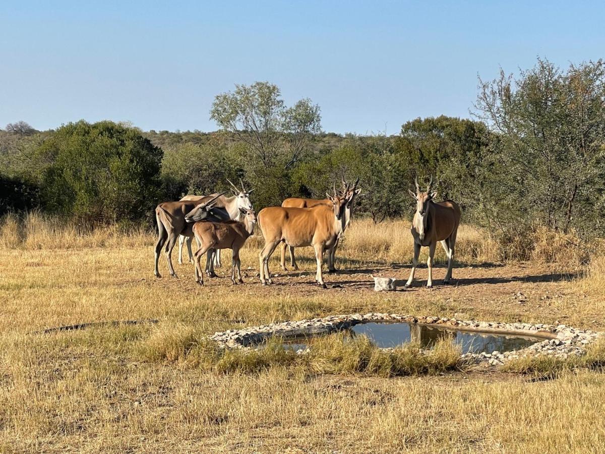 The Farm Shop Bed & Breakfast Grootfontein Exterior photo